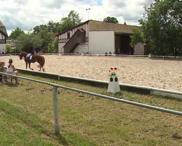 Reitturnier Hof-Haidt/Ofr. 2024