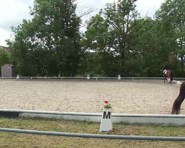 Reitturnier Hof-Haidt/Ofr. 2024