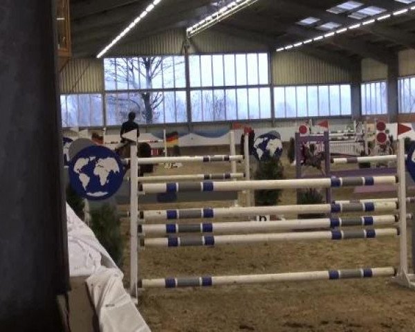 Grevener-Hallenspringturnier 2013
