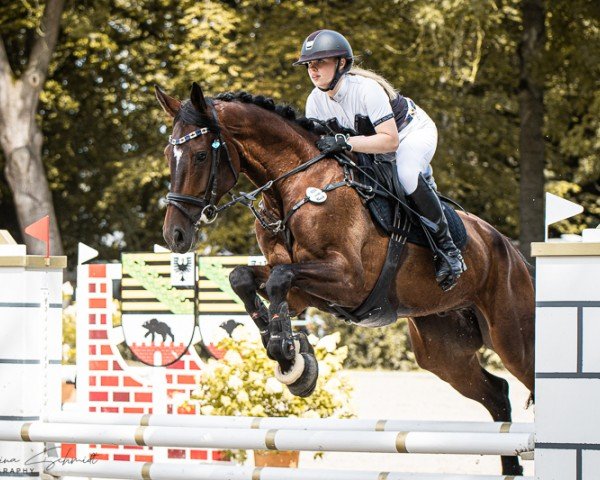 jumper On Fire 4 (German Sport Horse, 2018, from Ogano)