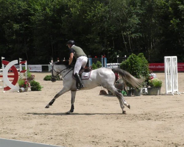Reitturnier Hünfelden-Kirberg 2024