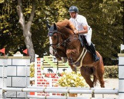 Springpferd Le Grand Geste RP (Deutsches Sportpferd, 2018, von Chacfly PS)
