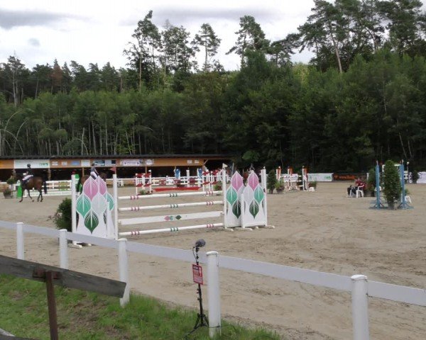 Reitturnier Hünfelden-Kirberg 2024
