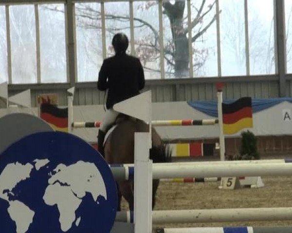 Grevener-Hallenspringturnier 2013