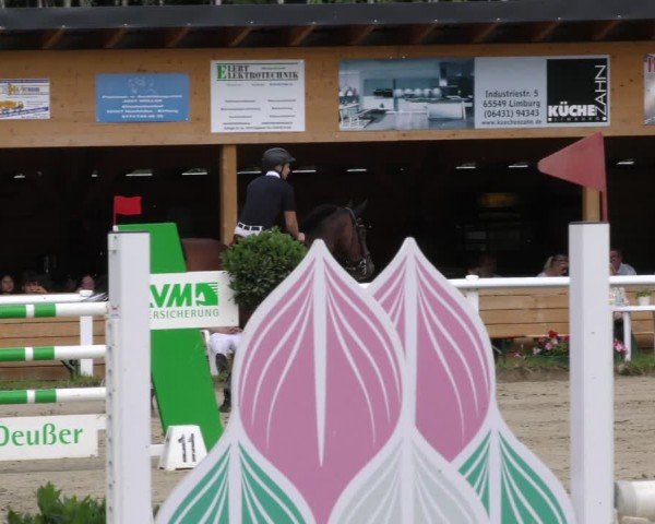 Reitturnier Hünfelden-Kirberg 2024