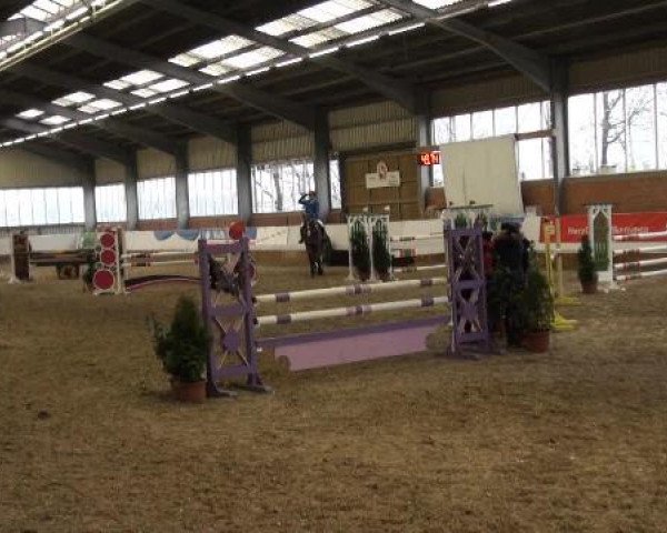 Grevener-Hallenspringturnier 2013