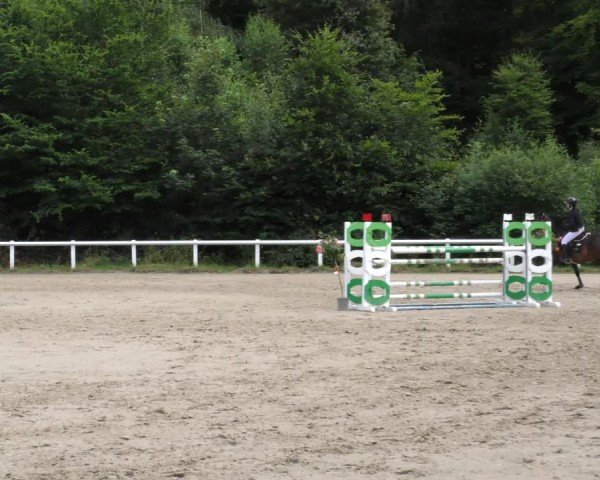 Reitturnier Hünfelden-Kirberg 2024