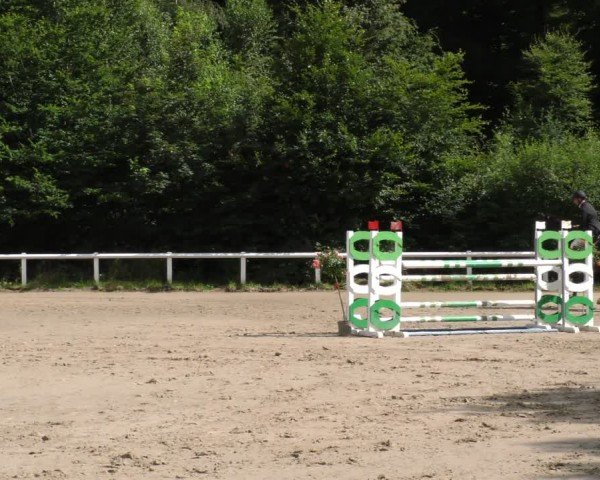 Reitturnier Hünfelden-Kirberg 2024