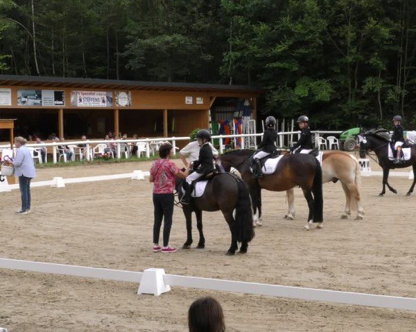 Reitturnier Hünfelden-Kirberg 2024