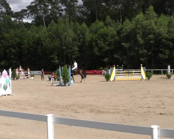 Reitturnier Hünfelden-Kirberg 2024