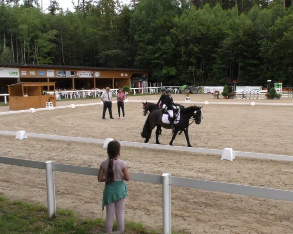 Reitturnier Hünfelden-Kirberg 2024