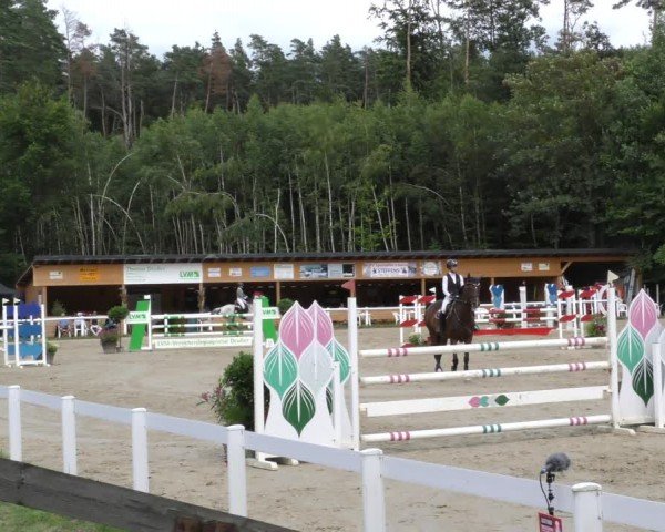 Reitturnier Hünfelden-Kirberg 2024
