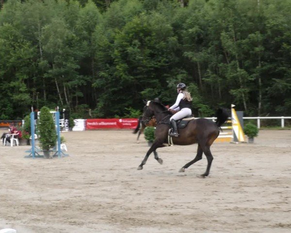 Reitturnier Hünfelden-Kirberg 2024