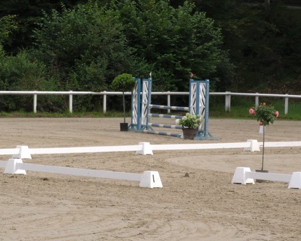 Reitturnier Hünfelden-Kirberg 2024