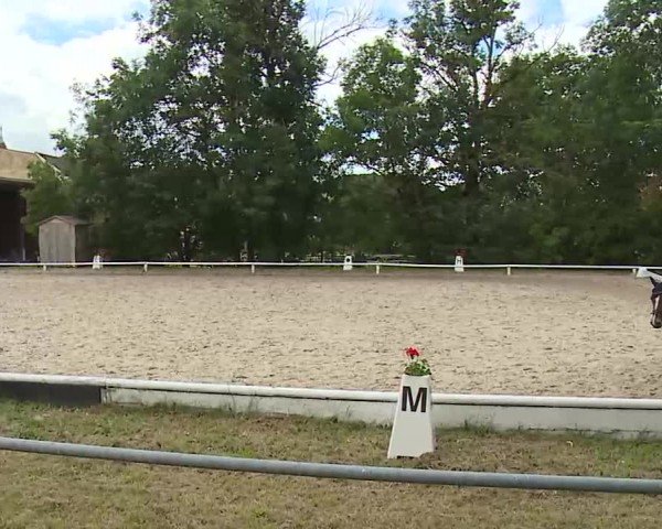 Reitturnier Hof-Haidt/Ofr. 2024