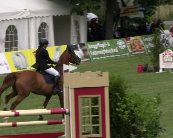 Reitturnier Neu Benthen 2024