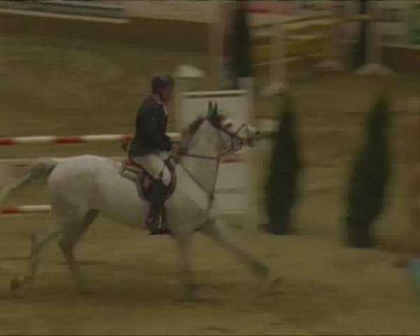 Rosendorf-Classics 2013