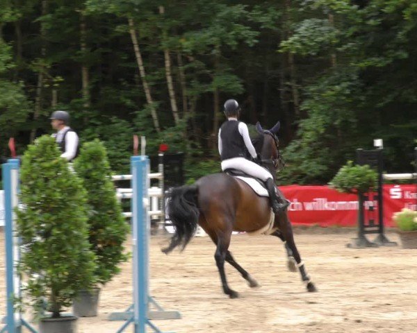 Reitturnier Hünfelden-Kirberg 2024