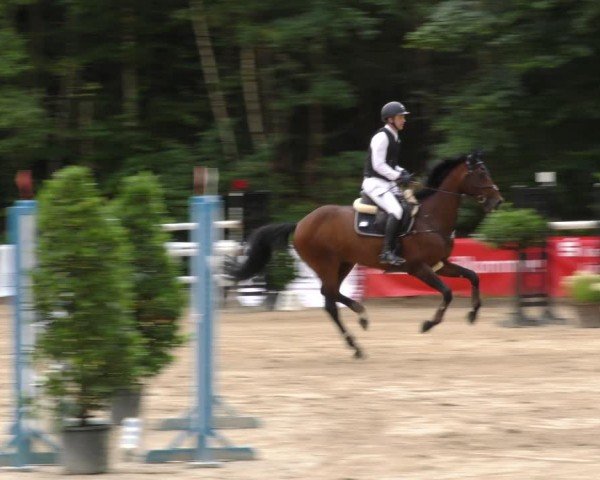 Reitturnier Hünfelden-Kirberg 2024