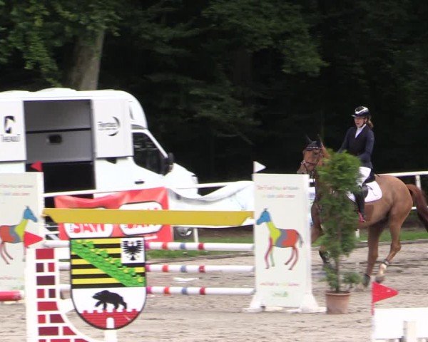 Reitturnier Prussendorf 2024