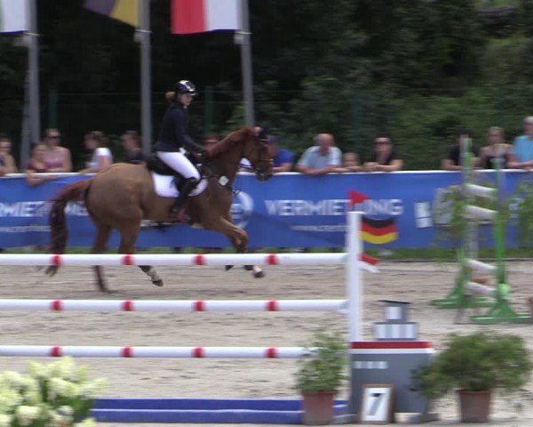 Reitturnier Prussendorf 2024