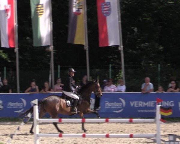 Reitturnier Prussendorf 2024