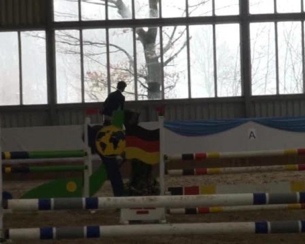 Grevener-Hallenspringturnier 2013