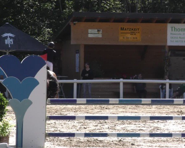 Reitturnier Hünfelden-Kirberg 2024