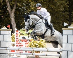 jumper Cassedy 33 (Holsteiner, 2018, from Casall Ask)