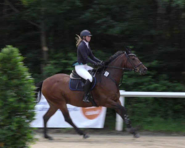 Reitturnier Hünfelden-Kirberg 2024