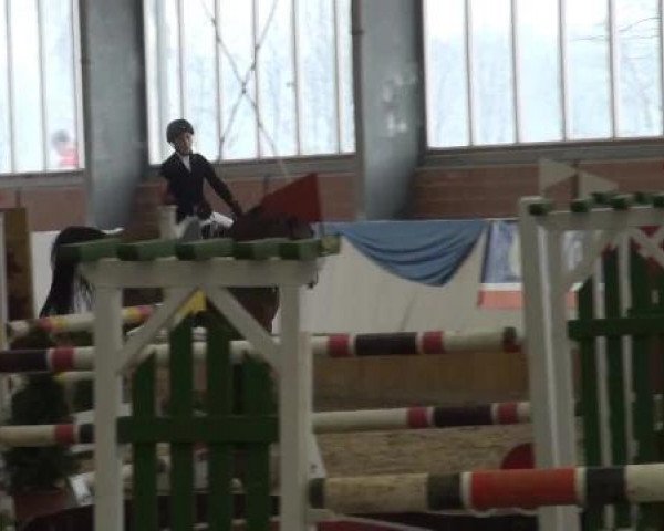 Grevener-Hallenspringturnier 2013