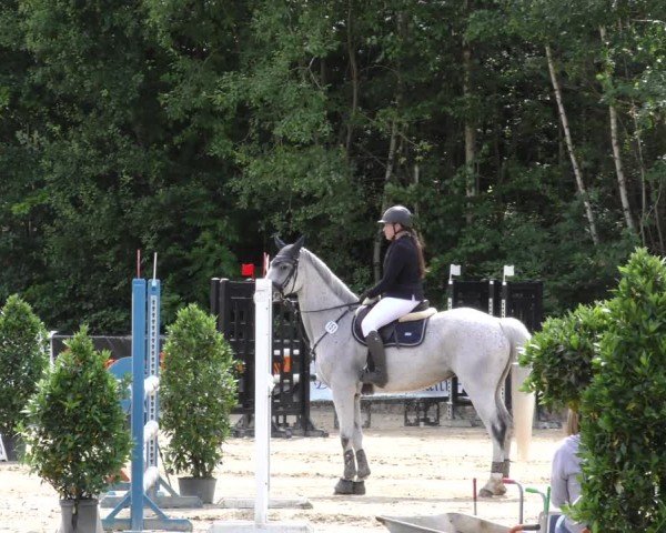 Video of Chapeau Chap