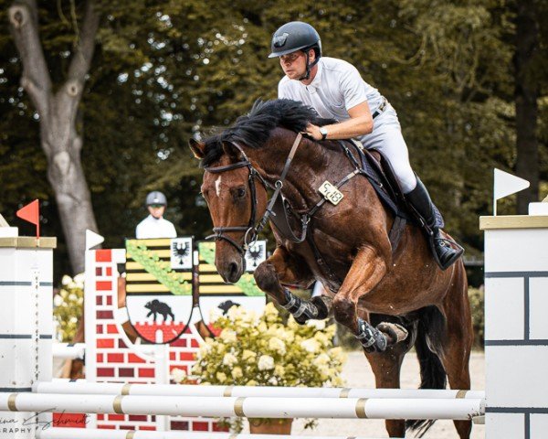 jumper Lightning 126 (German Sport Horse, 2019, from Light On OLD)
