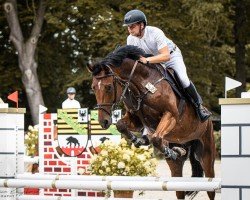 jumper Lightning 126 (German Sport Horse, 2019, from Light On OLD)