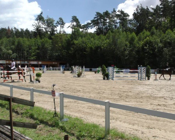 Reitturnier Hünfelden-Kirberg 2024
