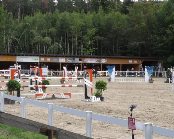 Reitturnier Hünfelden-Kirberg 2024