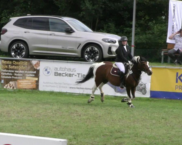 Reitturnier Moringen 2024
