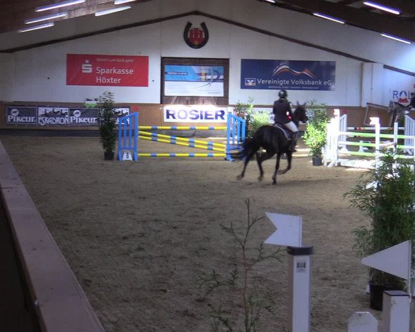 Reitturnier Steinheim 2021