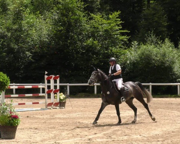 Reitturnier Hünfelden-Kirberg 2024