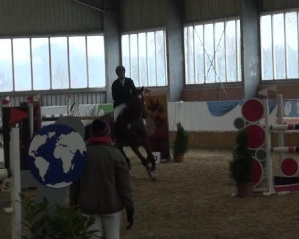 Grevener-Hallenspringturnier 2013