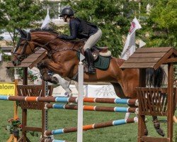 broodmare Ploona (Oldenburg show jumper, 2010, from Plot Blue)