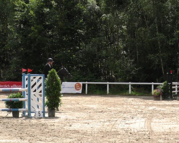 Reitturnier Hünfelden-Kirberg 2024