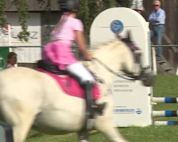 Reitturnier Hof-Haidt/Ofr. 2024