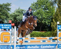 jumper Lolitta Cassini's (Oldenburg show jumper, 2018, from Cassini's Son T (CZE))