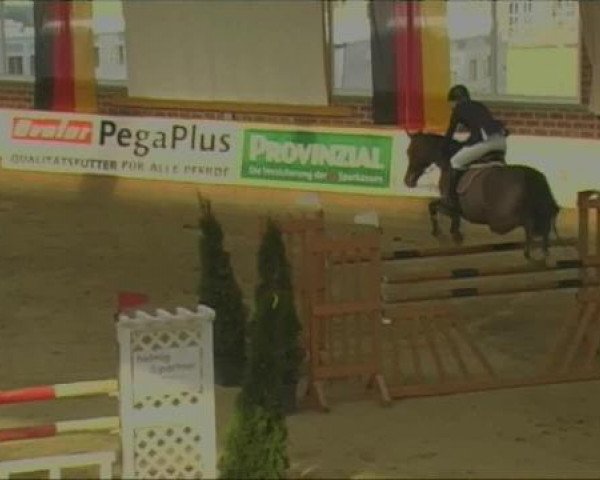 Rosendorf-Classics 2013