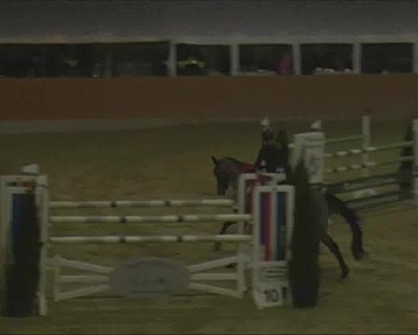 Rosendorf-Classics 2013