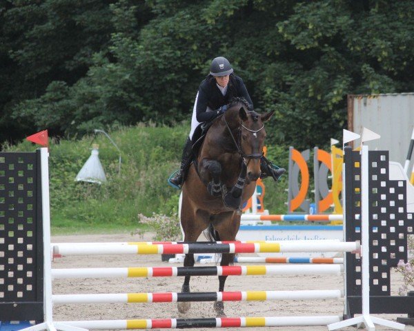 jumper Couerly Crush (Westphalian, 2016, from Christiano)