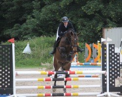 jumper Couerly Crush (Westphalian, 2016, from Christiano)
