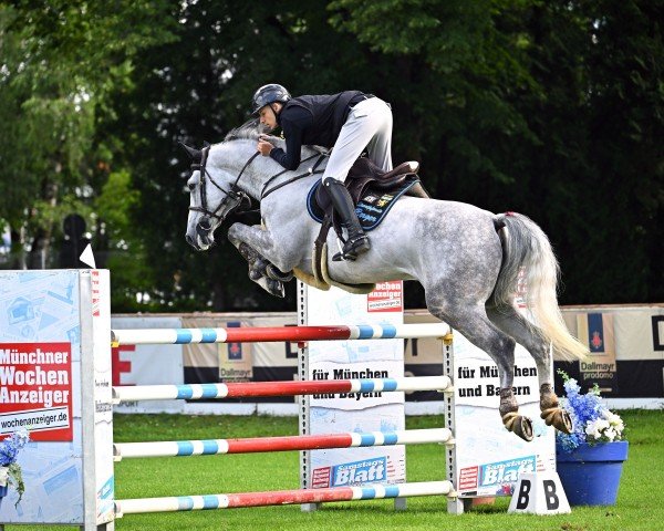 jumper DIADEMUS (Hanoverian, 2016, from Diacontinus)