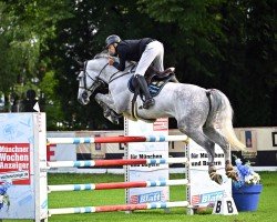 jumper DIADEMUS (Hanoverian, 2016, from Diacontinus)